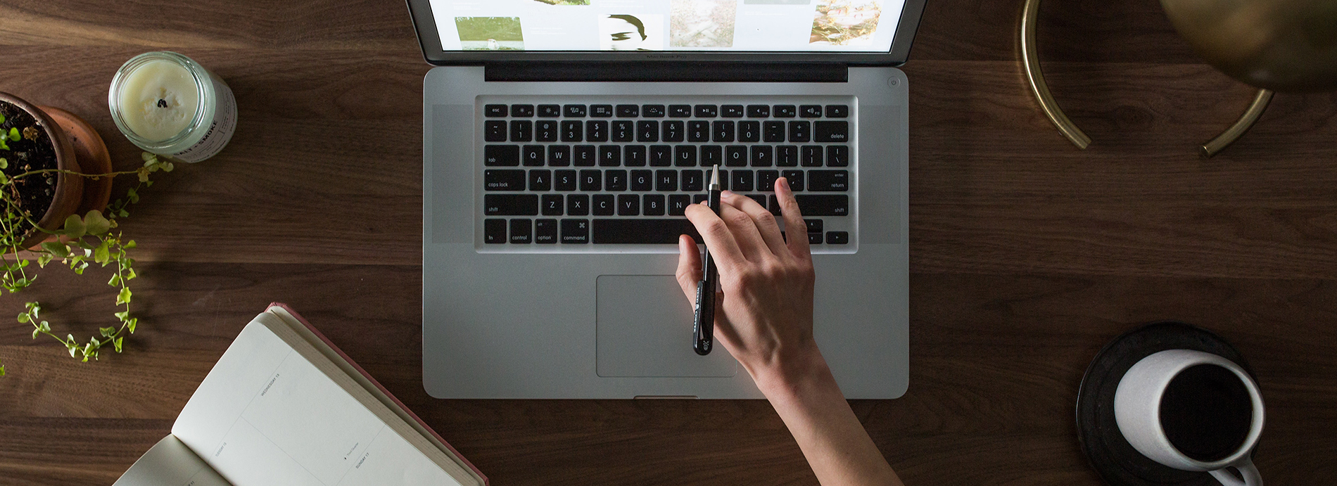 planning a cruise wedding on a laptop