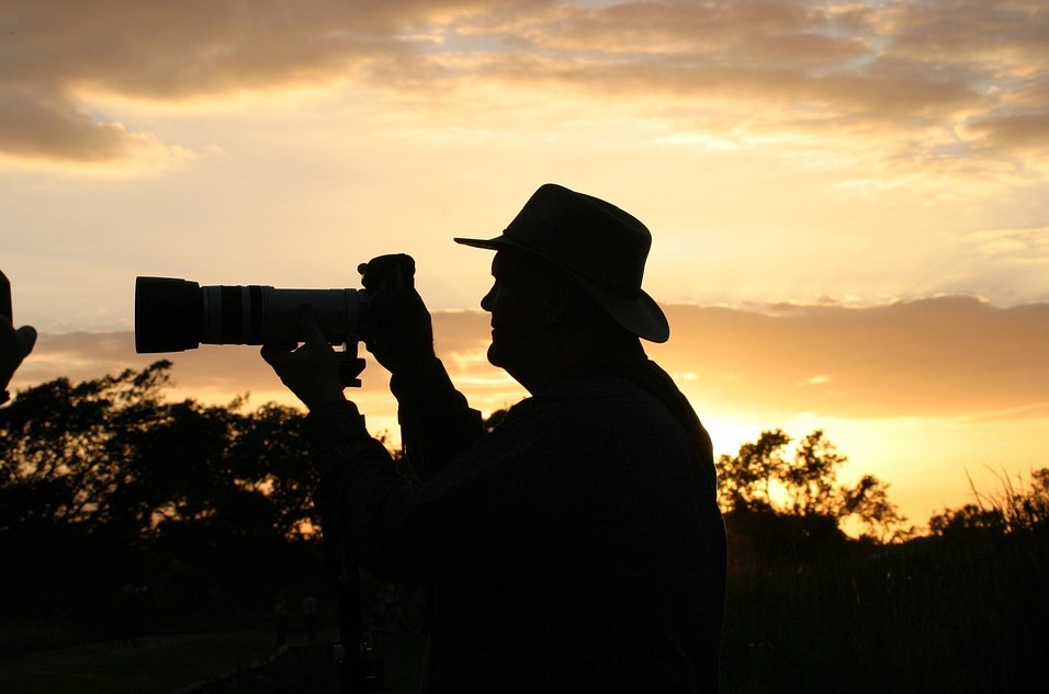 wildlife photographer